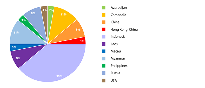 Chart - Summary of the Summer Institute 2013 Participants - by Countries