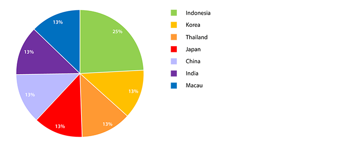 Chart - Summary of the Summer Institute 2013 Resource Persons - by Countries